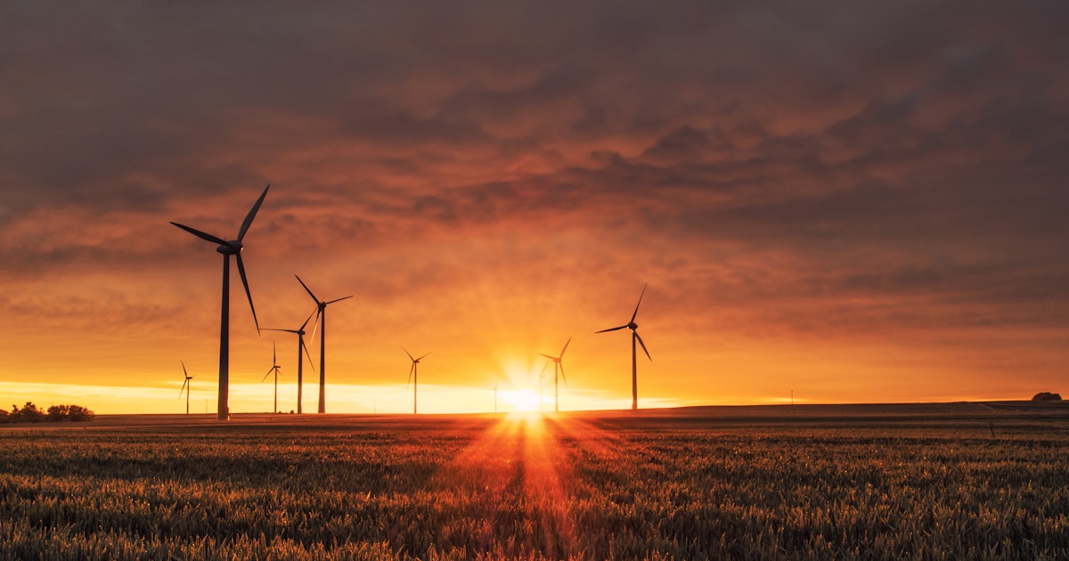 Large solar farm at sunrise representing global renewable energy expansion and energy transition momentum